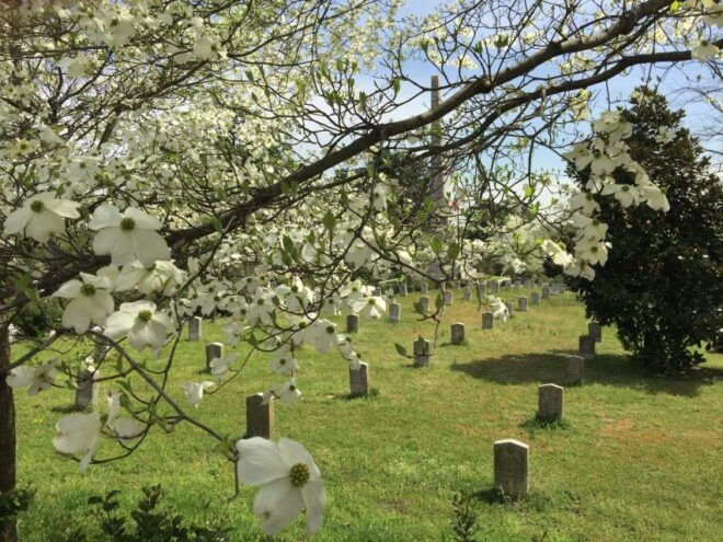 Atlanta: From Civil War to Civil Rights Private Tour - Location and Pickup Details