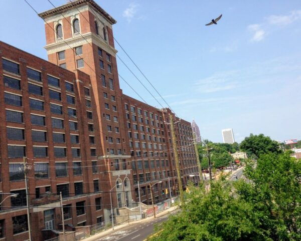 Atlanta: Private City Highlights Tour - Peachtree Street and Centennial Olympic Park With Iconic Landmarks