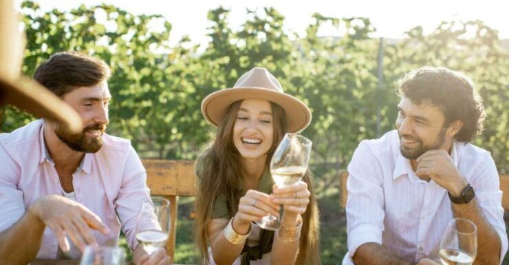Atlanta Vineyards and Wines Full-Day Tour - Full Description