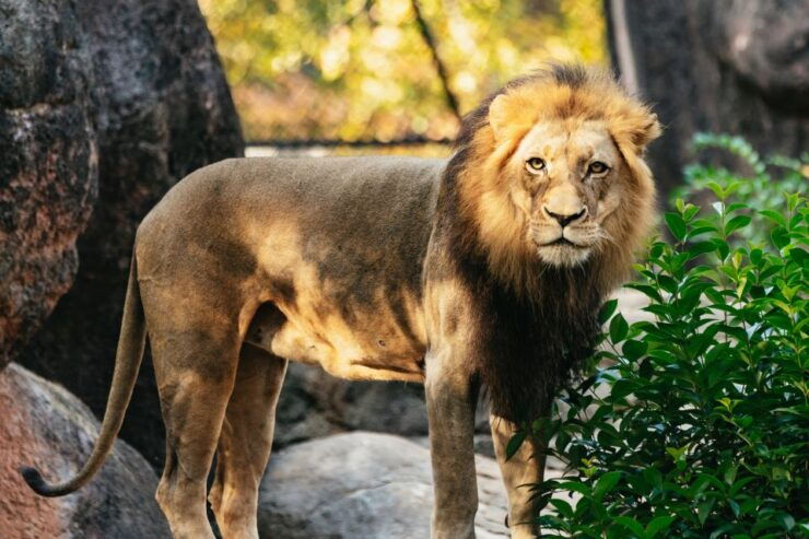 Atlanta: Zoo Atlanta General Admission Ticket - Good To Know