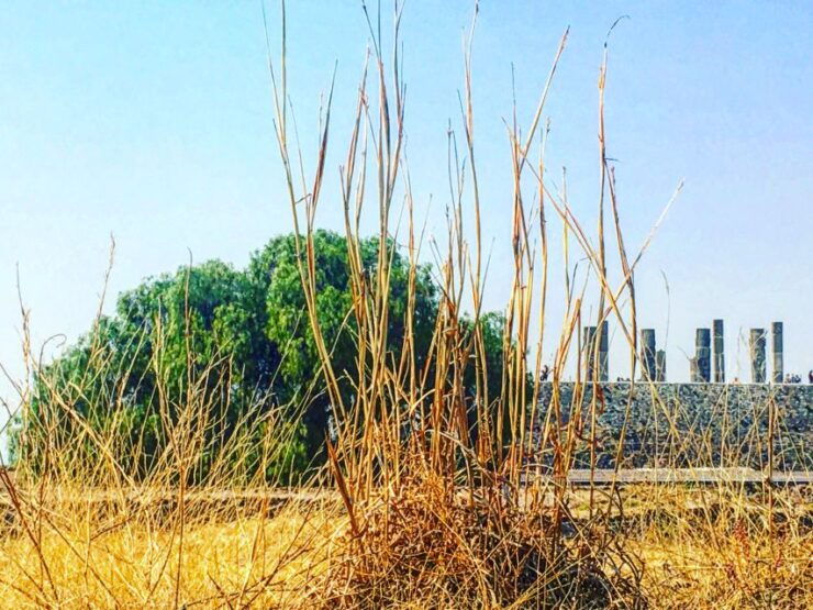 Atlantes of Tula - Location and Accessibility