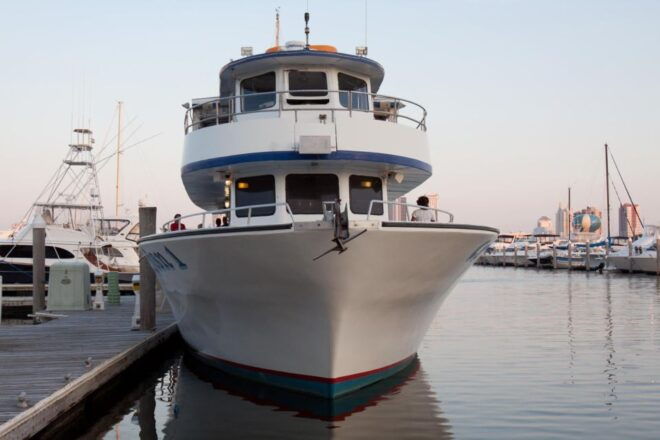 Atlantic City: Dolphin Watching Ocean Cruise Adventure - Experience at Sea
