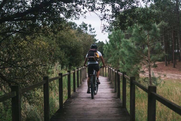 Atlantic Coast E-bike and Glass Museum tour - Why Choose This Tour?