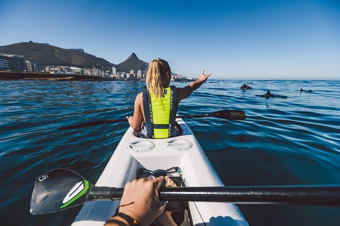 Atlantic Outlook Kayak Tour Cape Town - Tour Details