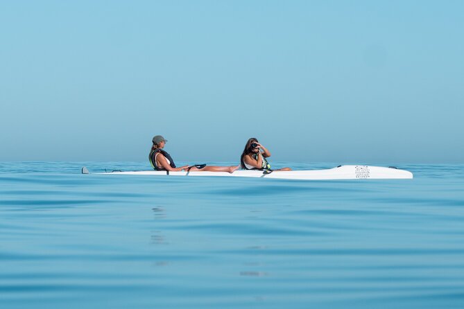 Atlantic Outlook Kayak Tour Cape Town - Reviews