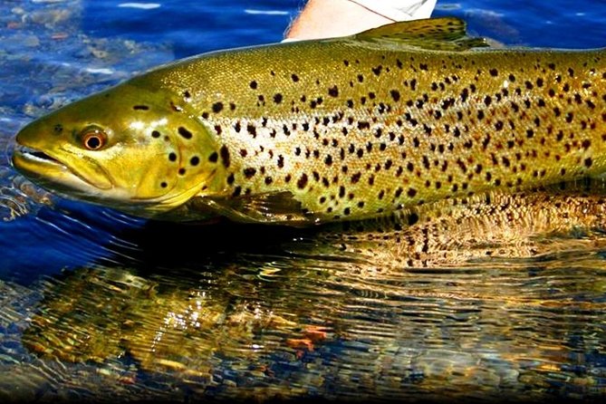 Atlantic Salmon & Sea Trout Fishing.Connemara.English/French Speaking Ghillie - What To Expect