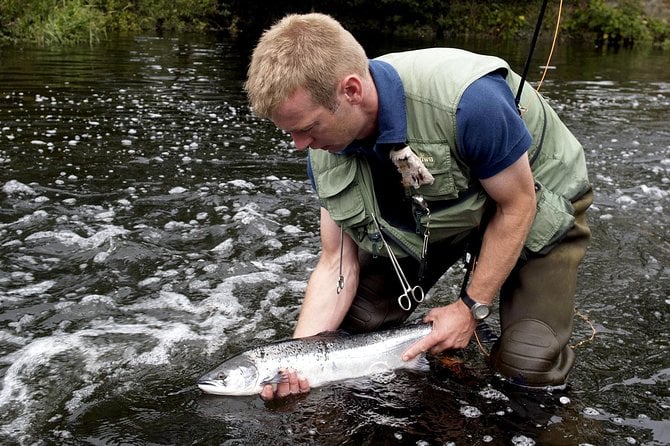 Atlantic Salmon & Sea Trout Fishing.Erriff River, Mayo. French Speaking Ghillie. - Good To Know