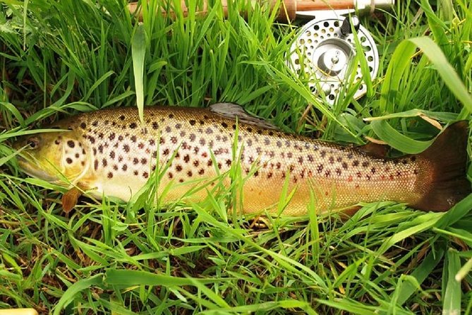 Atlantic Salmon & Sea Trout Fishing.Erriff River, Mayo. French Speaking Ghillie. - Pricing and Booking