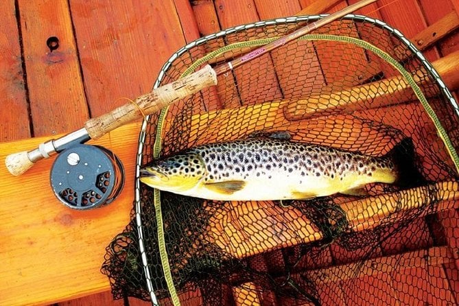 Atlantic Salmon & Sea Trout Fishing.Erriff River, Mayo. French Speaking Ghillie. - Cancellation Policy and Refunds