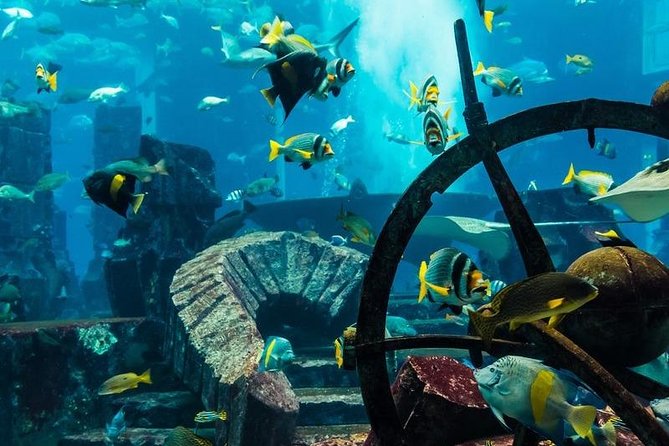 Atlantis Aquaventure and the Lost Chamber Dubai With Sharing Transfer - Directions to Atlantis Aquaventure and the Lost Chamber Dubai