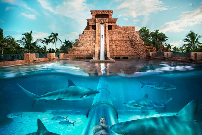 Atlantis Aquaventure Waterpark & Lost Chamber Aquarium Ticket - Pricing and Booking