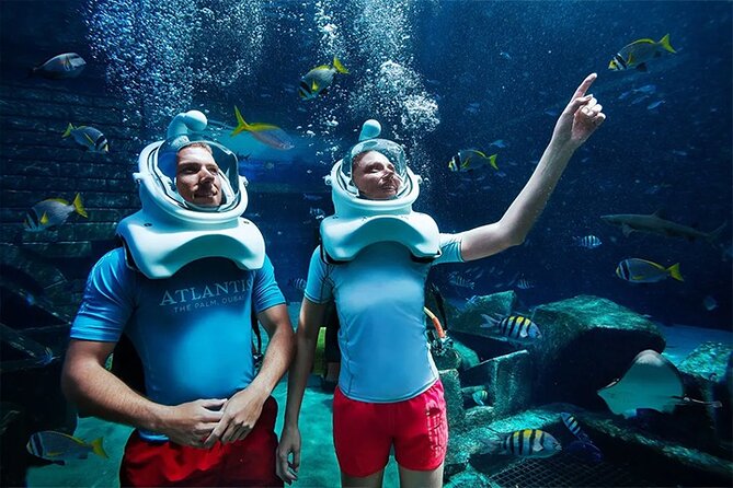Atlantis Lost-Chamber Aquarium Dubai - Location and Hours