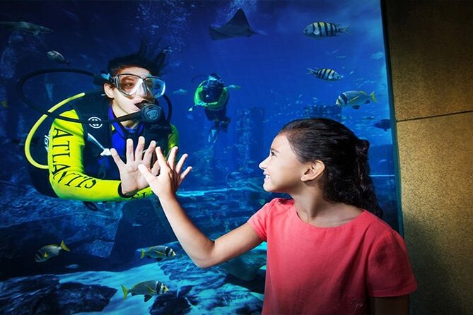 Atlantis Lost-Chamber Aquarium Dubai - Marine Life Exhibits