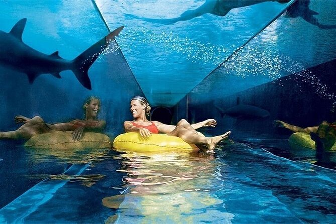 Atlantis Lost-Chamber Aquarium Dubai - Interactive Experiences and Activities