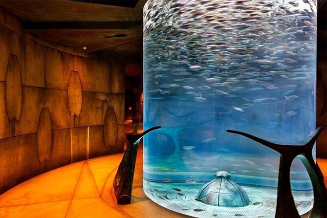 Atlantis Lost-Chamber Aquarium Dubai - The Sum Up