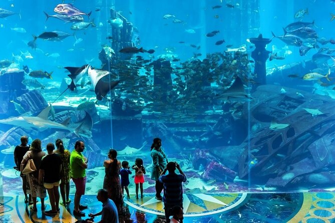 Atlantis Lost-Chamber Aquarium Dubai - Background