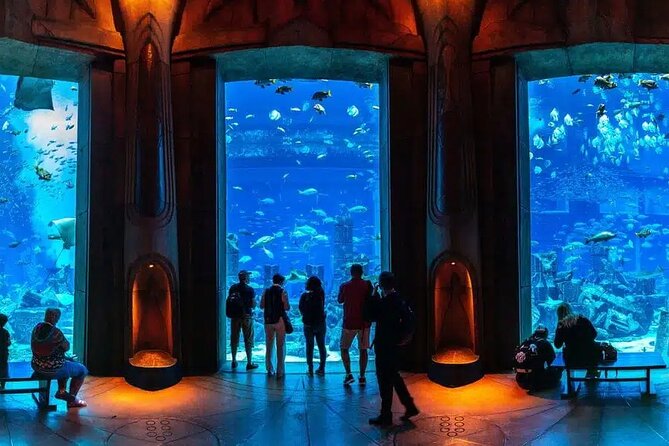 Atlantis -Lost-Chambers Aquarium- in Dubai - Educational Experiences