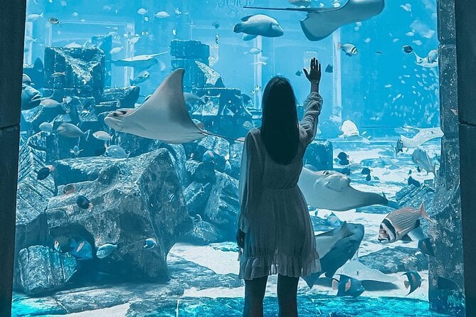 Atlantis Lost Chambers Aquarium Ticket - Good To Know