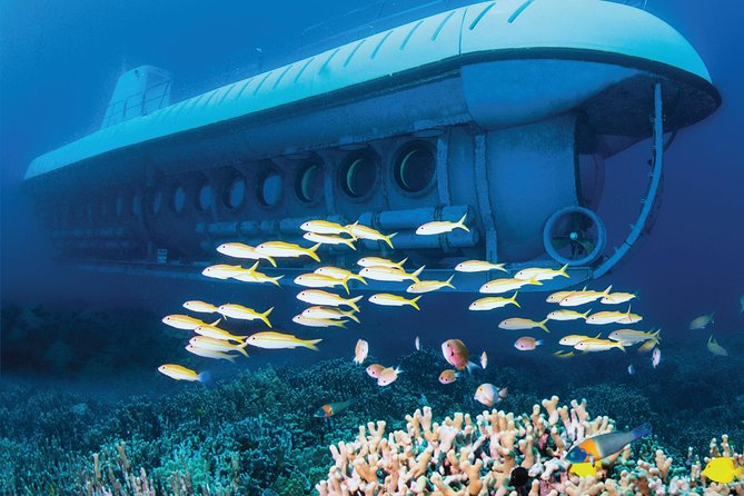 Atlantis Submarine Kona - Hawaii Island - Customer Feedback - Positive Experiences