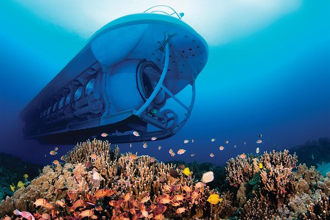 Atlantis Submarine Kona - Hawaii Island - Common Questions