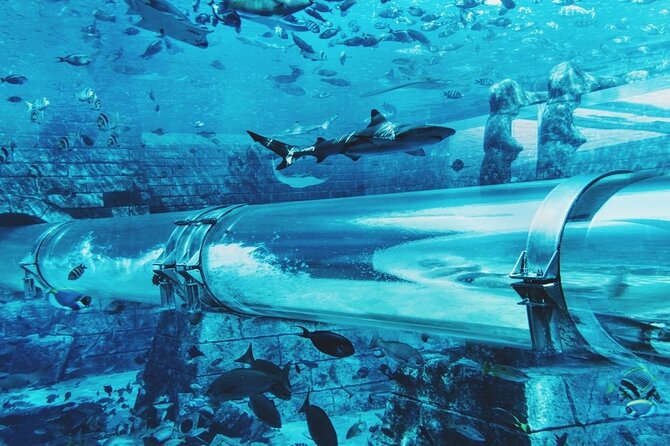 Atlantis Water Park & Lost Chamber With Ticket & Transfer - Common Questions