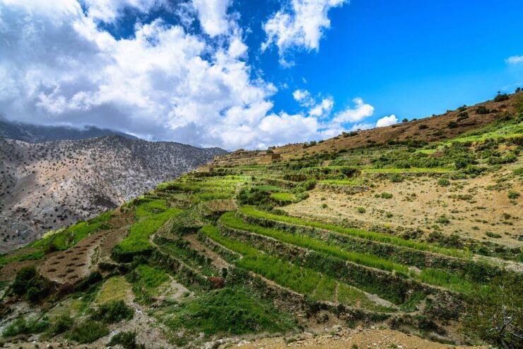 Atlas and Ourika Valley Day Trip From Marrakech - Activity Details