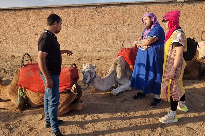 Atlas Bound: Marrakechs 5 Valleys Expedition - Highlights of the Atlas Mountains