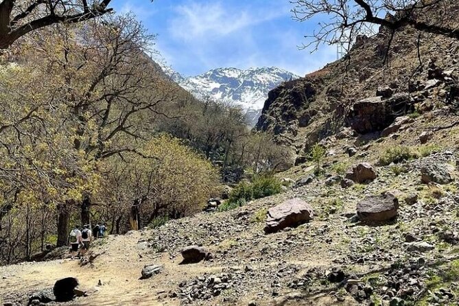 Atlas Bound: Marrakechs 5 Valleys Expedition - Taking in Berber Culture and Traditions