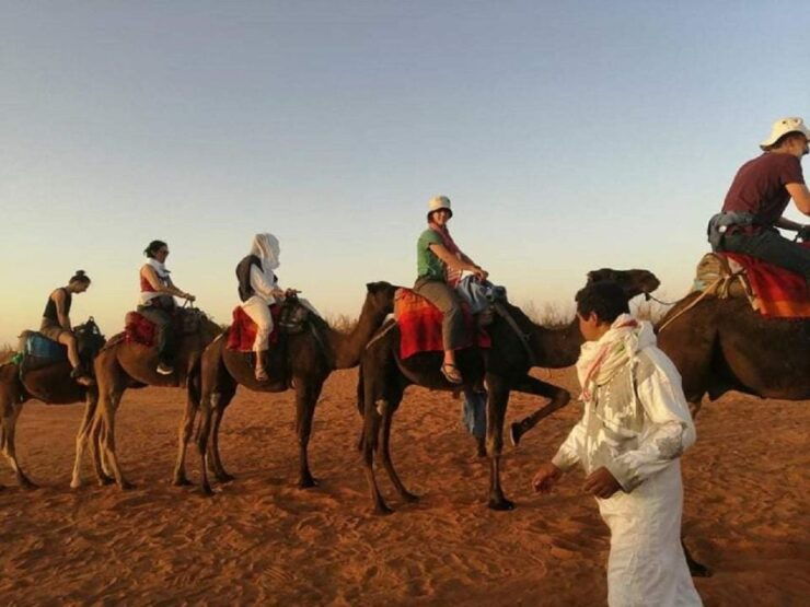 Atlas Day Trip and Berber Villages - Scenic Highlights and Overview