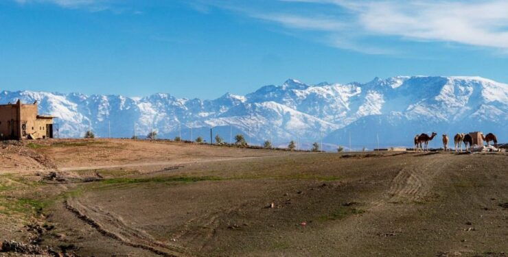 Atlas Mountain: 3 Valleys & Lovely Day Trip From Marrakech - Trip Highlights