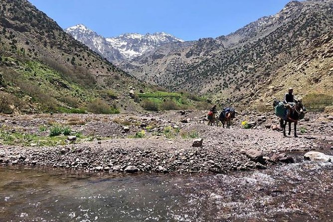Atlas Mountain& Berber Village Day Trip From Marrakech - Pickup and Drop-off