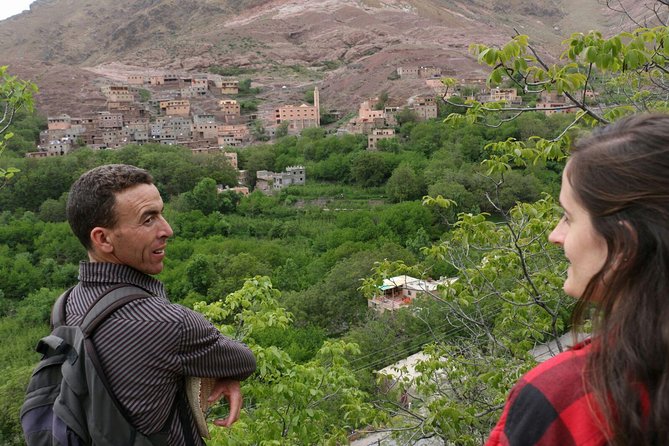Atlas Mountain Day Trip - Traveler Experiences and Inspiration
