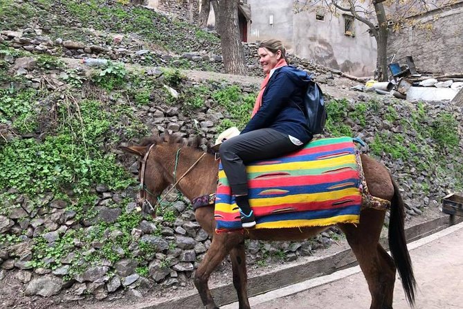 Atlas Mountain Day Trip From Marrakech & Camel Ride Live With Locals - Included Amenities