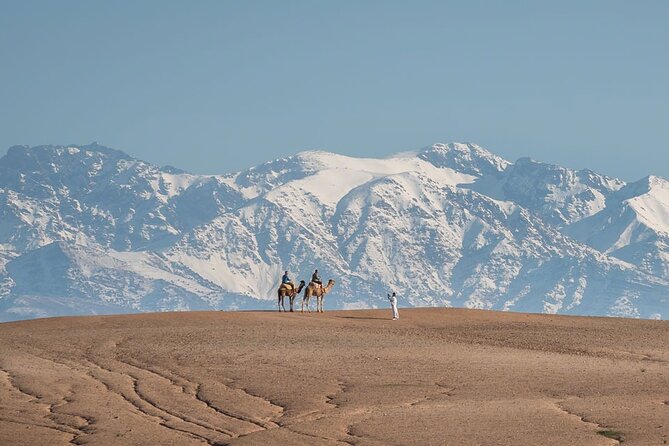 Atlas Mountain Day Trip From Marrakech Watrefall, Camel Ride - Traveler Experience Overview