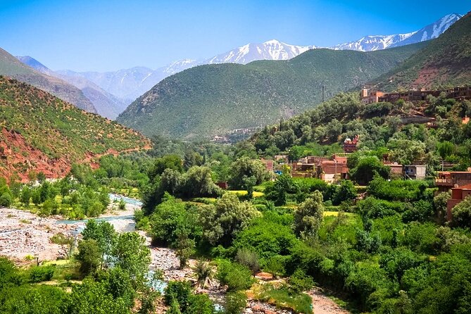 Atlas Mountains, 3 Grand Valleys, Waterfalls, Camel Ride, Berbers Day Trip - Customer Participation and Exclusivity