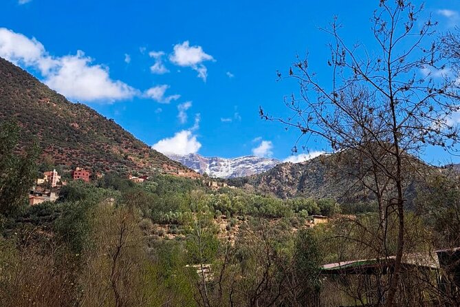 Atlas Mountains 4x4 Private Day Tour - Meeting and Pickup Details