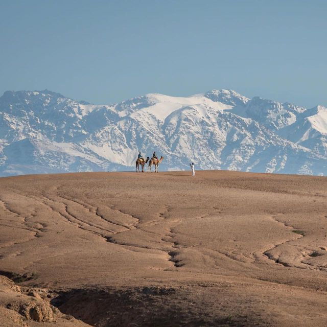 Atlas Mountains and 3 Valleys & Waterfalls & Desert Agafay - Tour Guides
