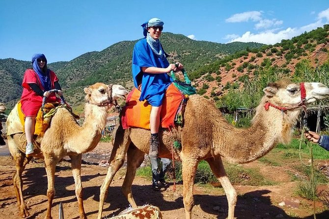Atlas Mountains and Berber Villages Day Trip From Marrakech With Lunch - Hiking Opportunities in the Atlas Mountains