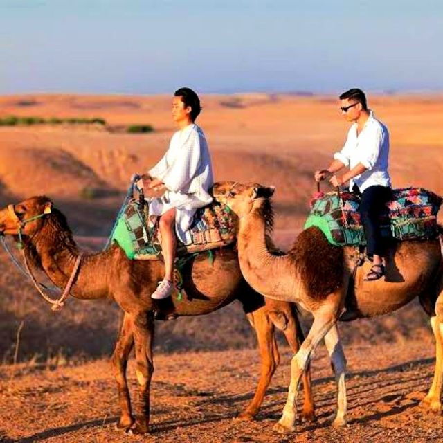 Atlas Mountains and Berber Villages & Waterfall & Camel Ride - Experience Highlights