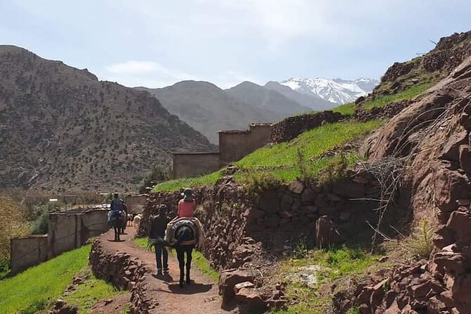 Atlas Mountains And Camel Ride Day Trip From Marrakech - Accessibility: Wheelchair and Stroller Friendly
