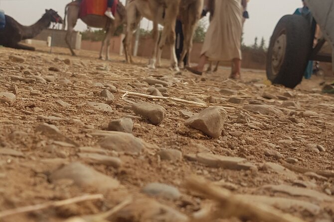 Atlas Mountains And Camel Ride Day Trip From Marrakech - Additional Info: Private Tour Details