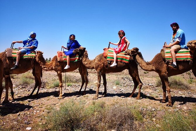 Atlas Mountains and Camel Ride Day Trip, From Marrakech - Cultural Experiences