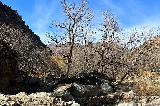 Atlas Mountains and Guided Day in Ourika Valley - Itinerary Highlights