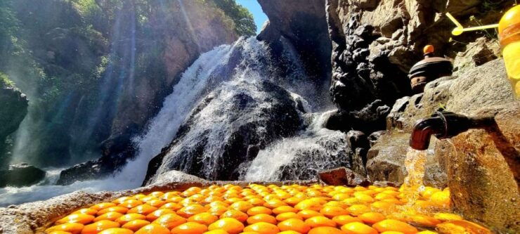 Atlas Mountains and Majestic Berber Village - Activities Offered in Atlas Mountains