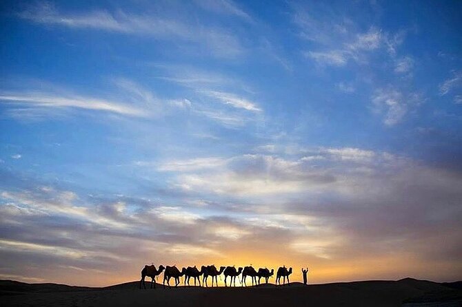 Atlas Mountains and Sunset Camel Ride - Local Guide for Mountain Hike