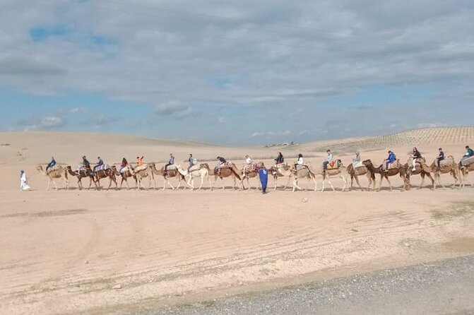 Atlas Mountains and Sunset Camel Ride - Logistics and Policies