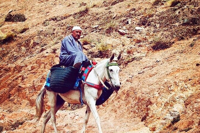 Atlas Mountains and Three Valleys Day Trip From Marrakech - Enjoy a Traditional Lunch in a Local Home