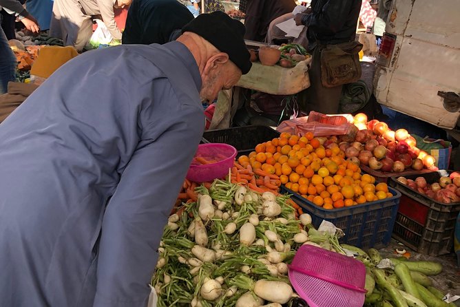 Atlas Mountains and Three Valleys & Waterfalls - Camel Ride Day Trip Marrakech - Trip Overview