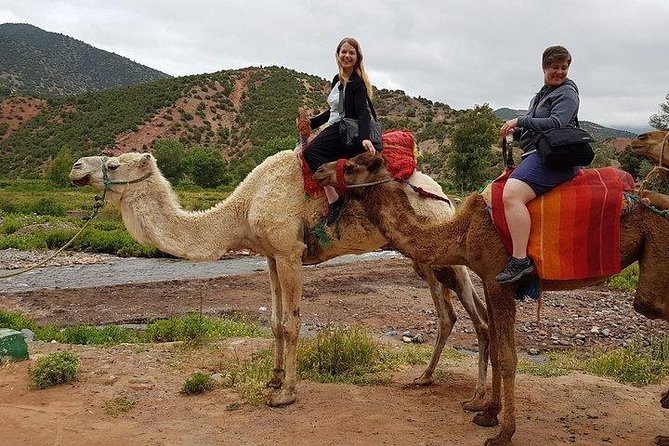 Atlas Mountains and Three Valleys & Waterfalls - Camel Ride Day Trip Marrakech - Camel Ride Experience