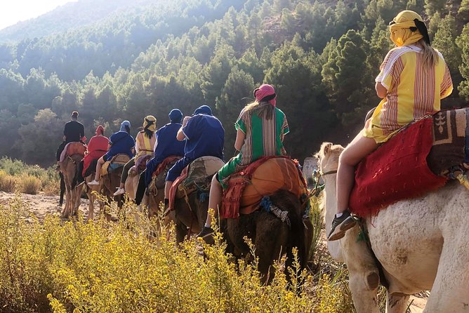 Atlas Mountains and Three Valleys & Waterfalls - Camel Ride Day Trip Marrakech - Pickup and Cancellation Policies